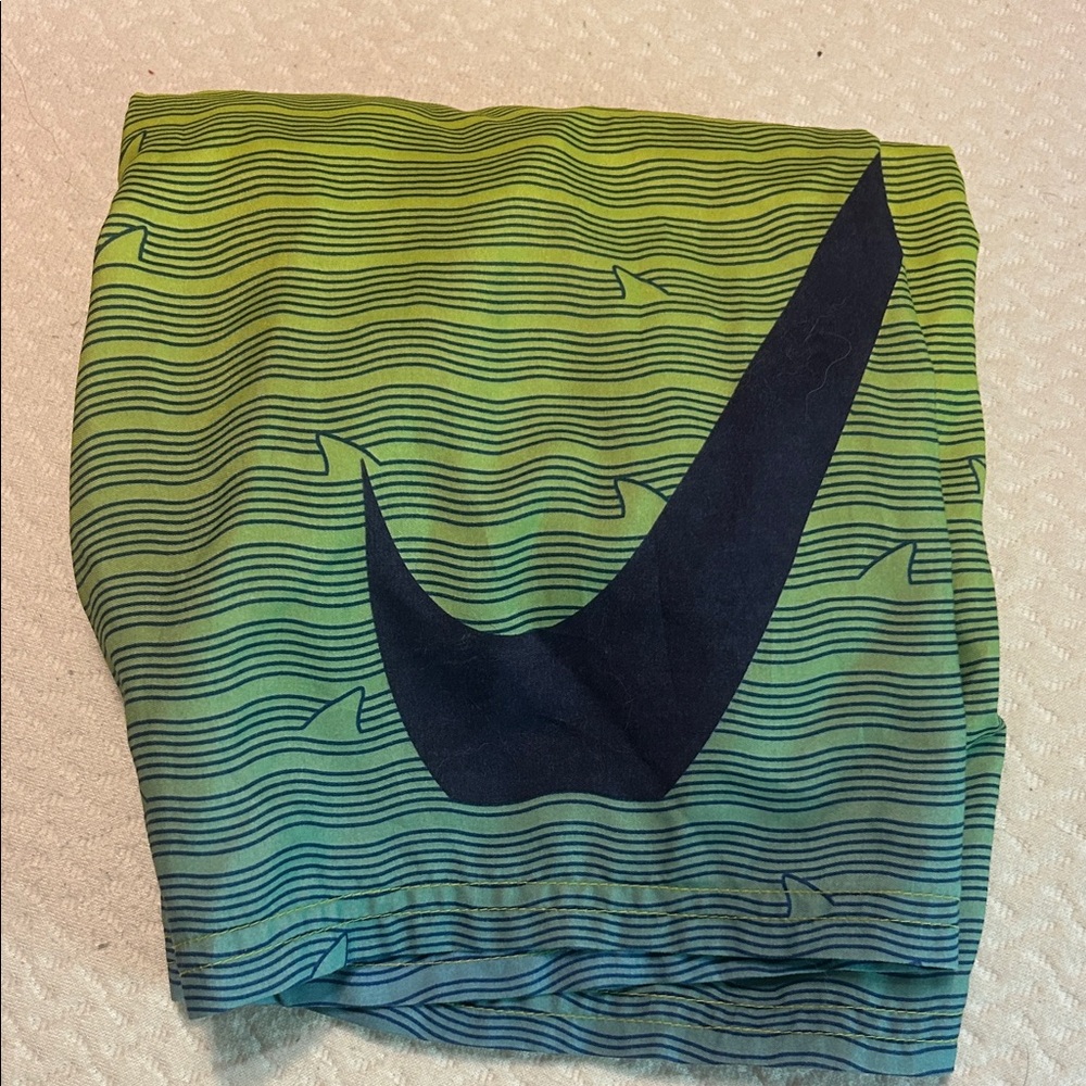 Nike Blue and Green Wave Pattern Shorts